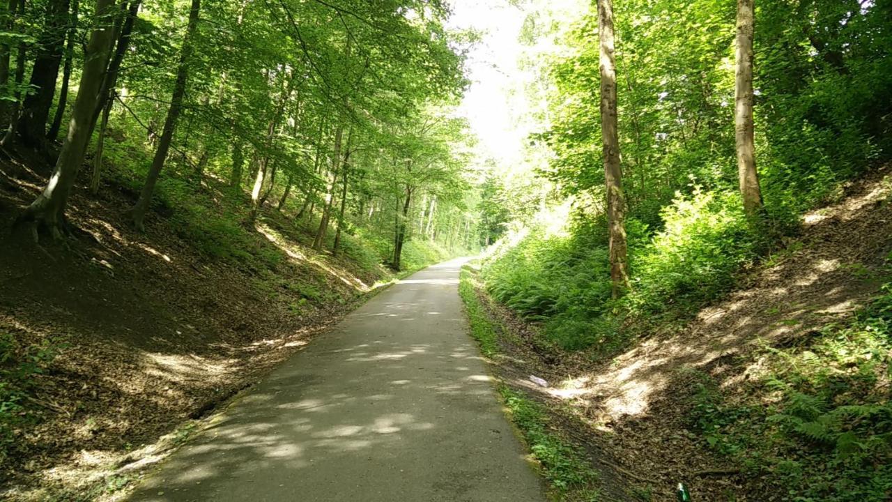 Gite des 2 chênes entre Avenue verte, Lacs, Piscine et Casino Forges-les-Eaux Extérieur photo