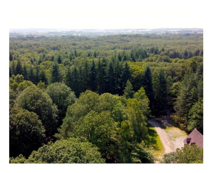 Gite des 2 chênes entre Avenue verte, Lacs, Piscine et Casino Forges-les-Eaux Extérieur photo