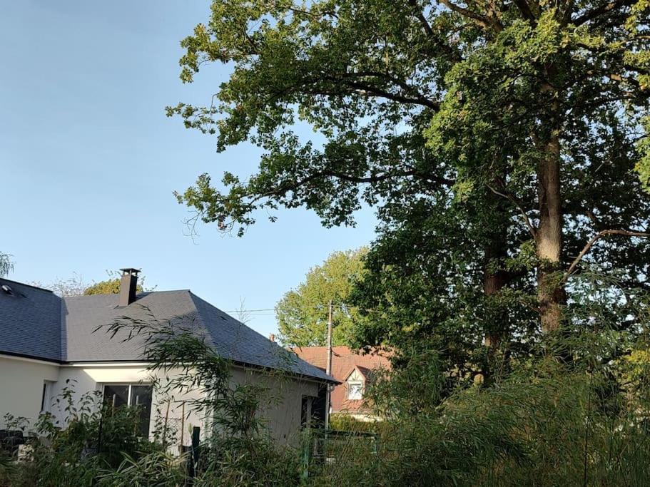 Gite des 2 chênes entre Avenue verte, Lacs, Piscine et Casino Forges-les-Eaux Extérieur photo